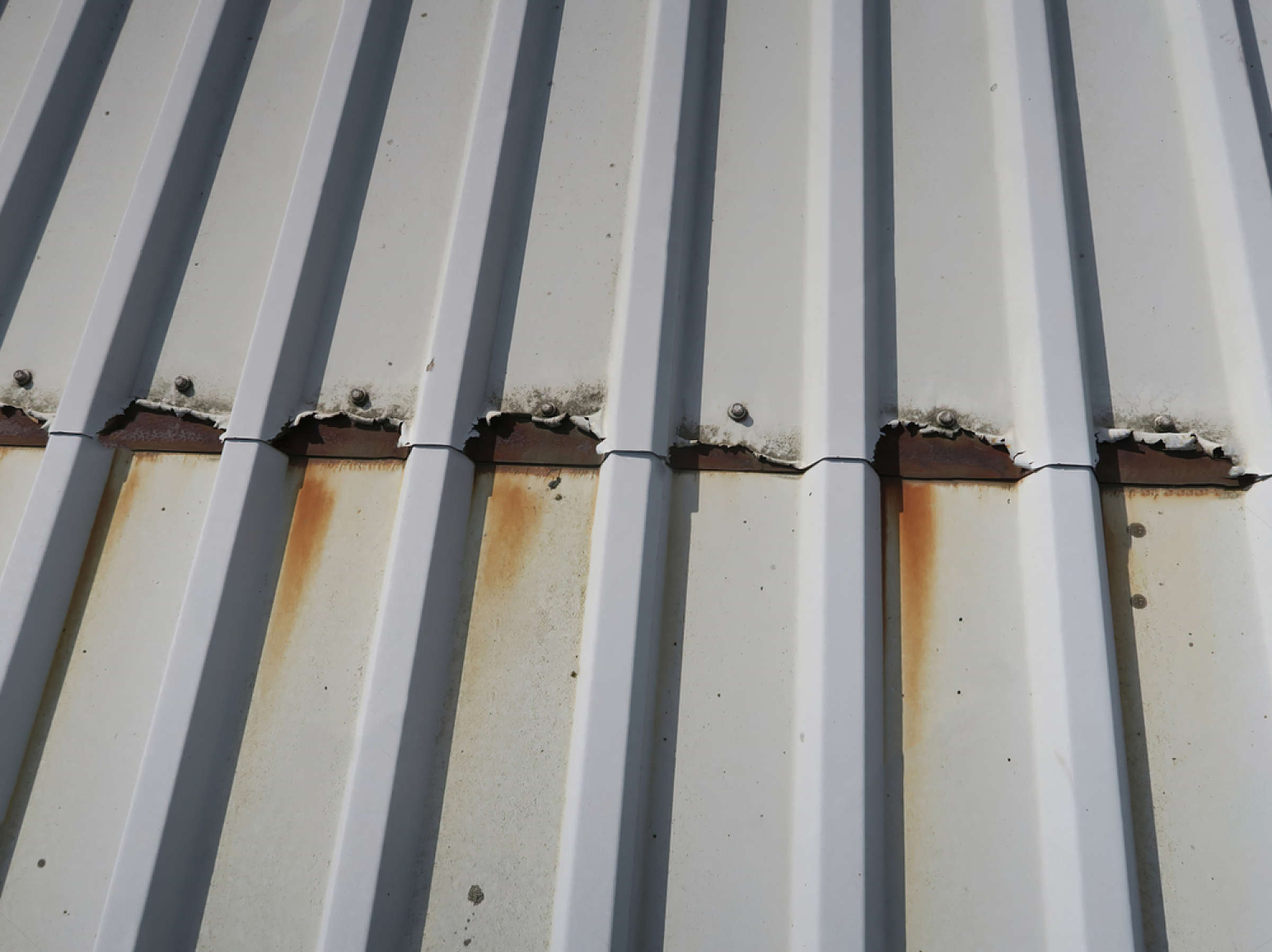 Rust breaking through the coating along the cut edges and laps of white profiled metal sheeting, with staining running down the sheet below each fixing